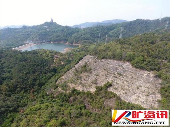 ���Ʋ�����ݸ����ҵ��Ϊ�γ��ڴ�ѹ����ɽ����