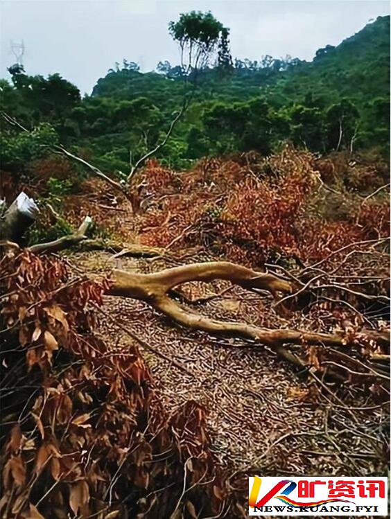 ���Ʋ�����ݸ����ҵ��Ϊ�γ��ڴ�ѹ����ɽ����